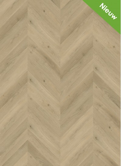 Noord-Holland Special