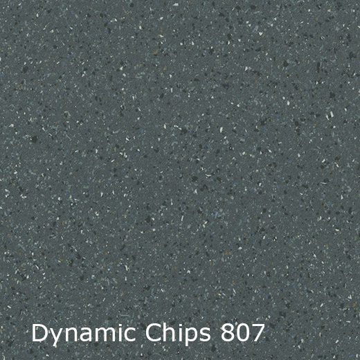 Dynamic Chips