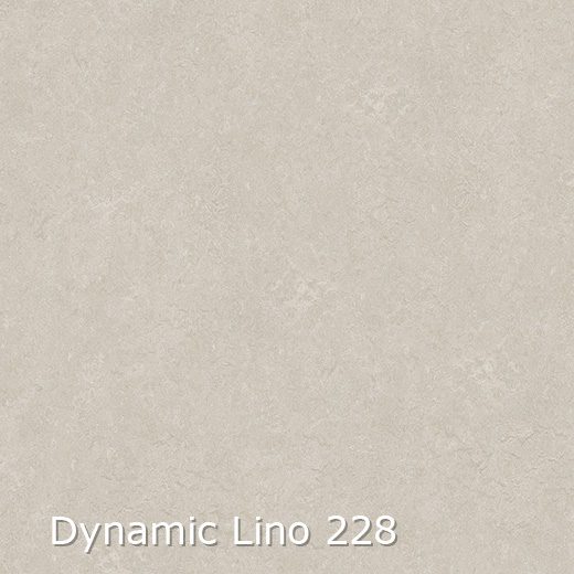 Dynamic Lino