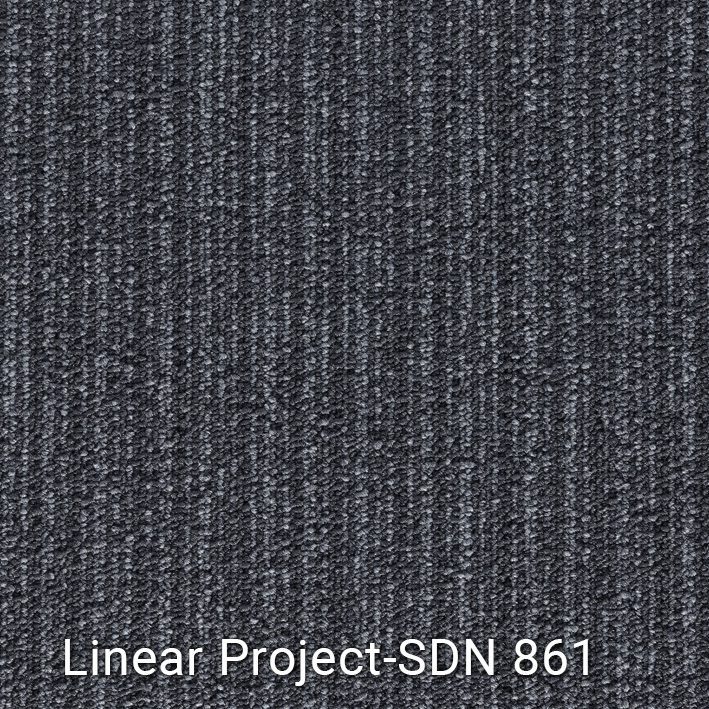 Linear Project-SDN