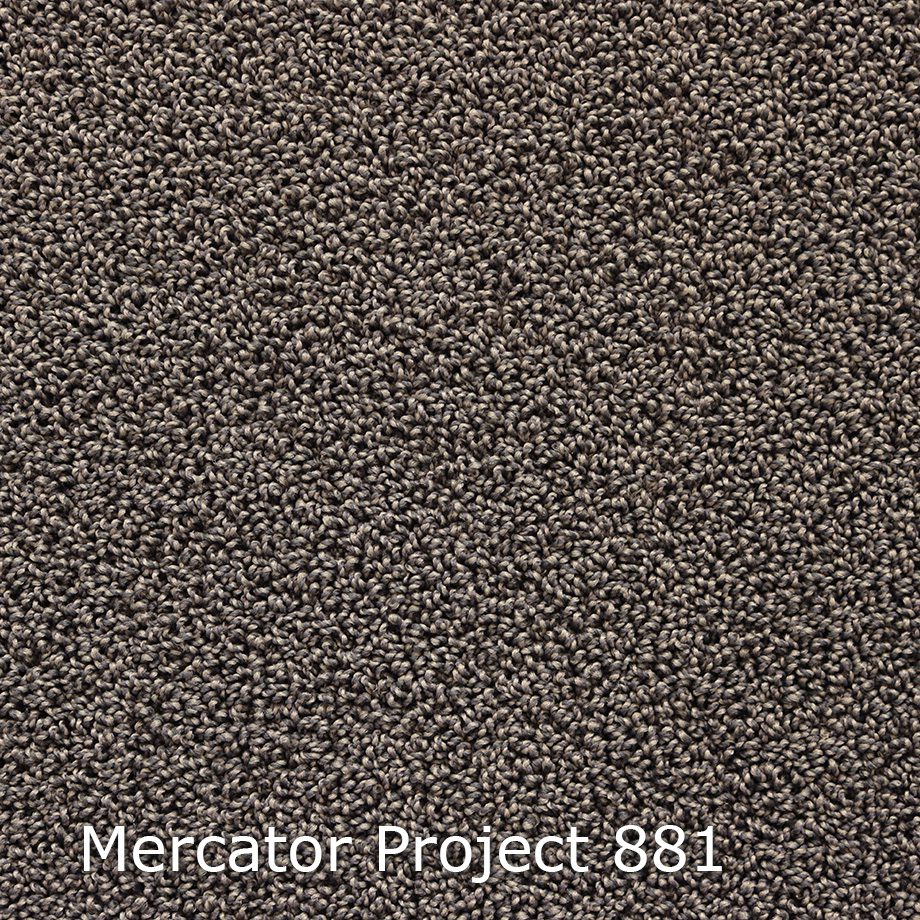 Mercator Project Econyl