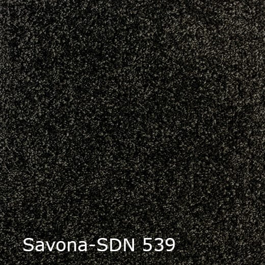 Savona-SDN